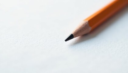Close-up of ballot paper, pencil isolated on white, voting booth, procedure