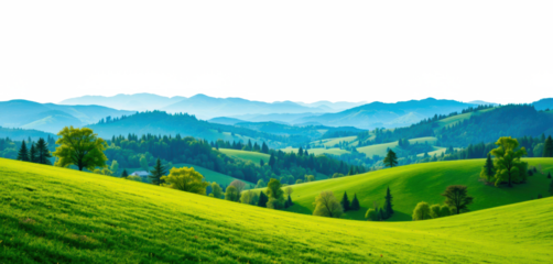 Green Grass Hills and Trees Landscape Isolated on White Background