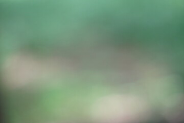 Abstract Green and Brown Blurry Background Texture.