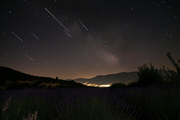 celestial event, where shooting stars light up the night sky above endless lavender fields