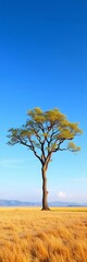 A lone, majestic tree standing on an open plain, symbolizing resilience,  landscape,  outdoor