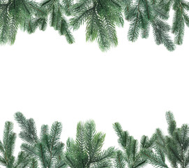 Fototapeta premium Christmas fir tree branches isolated on white