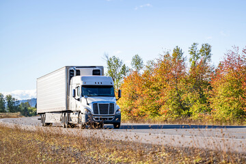 Low profile white big rig semi truck transporting cargo in refrigerated semi trailer running on the autumn winding road with yellow trees on the side