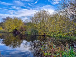 Obraz premium Beautiful reflection on water on a pond with trees in autumn color.