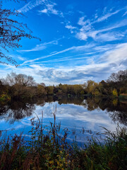Beautiful reflection on water on a pond with trees in autumn color.