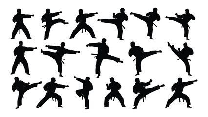 Martial arts karate silhouettes isolated on white background, Vector