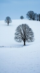 A tranquil winter landscape featuring snow-covered hills under a clear sky, with bare trees creating a stark, beautiful scene ,hillside ,pristine ,terrain