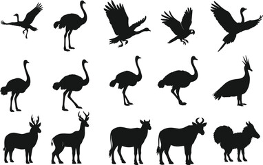 Obraz premium Flat vector illustration of bird and mammal silhouettes including crane, ostrich, deer, goat, sheep, dog in elegant poses