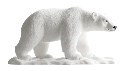 polar bear isolated on white