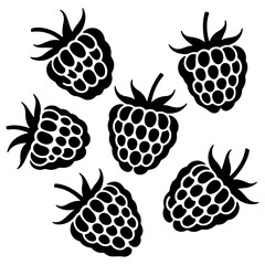 Silhouette of raspberries, vector illustration art