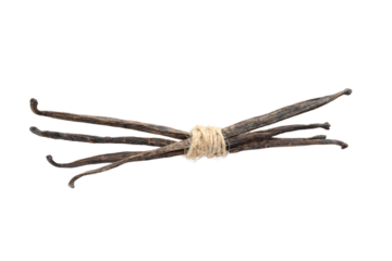 Vanilla beans arranged and tied for culinary use, isolated, PNG