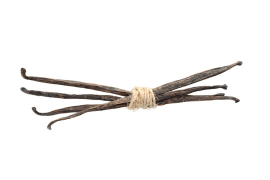 Vanilla beans arranged and tied for culinary use, isolated, PNG