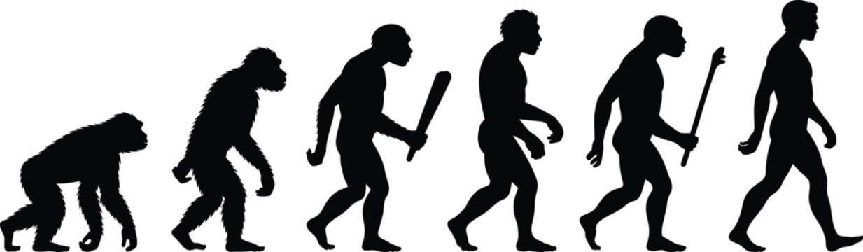 Human Evolution Silhouette: Vector Illustration of Hominid Development and History