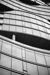 Sunlight and Silhouette on a Curved Glass Building Wall in Black and White.