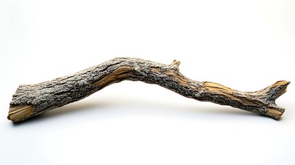 A gnarled and textured piece of driftwood with peeling bark rests on a clean white surface