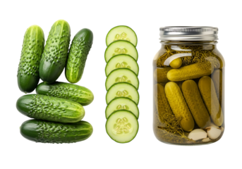 Fresh cucumbers sliced and pickled in a jar