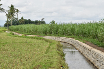 Irrigation water channel, small river flows towards the rice fields