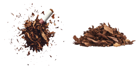 The dangers of smoking: a cigarette and loose tobacco