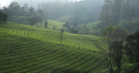 The peaceful serenity of an early morning in the High Wavy Mountain - Powered by Adobe