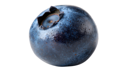 Macro of a single blueberry showing detail on transparent background for design