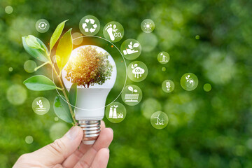 Hand holding LED light bulb with tree and green icons representing eco energy and sustainability