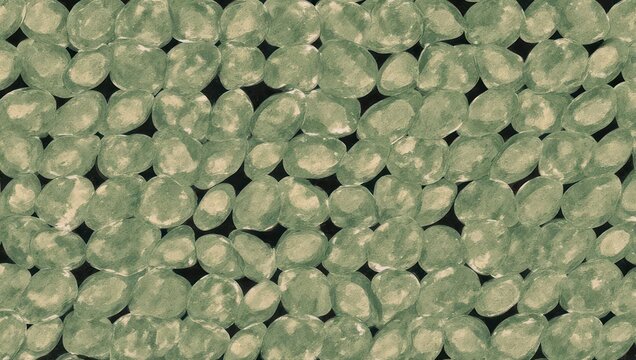 Abundance of Green Prehnite Gemstones - A Textured Mineral Collection.