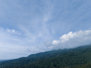 Fototapeta premium A wide, aerial view of a vibrant green mountain slope covered in dense, mixed forest foliage under a bright blue sky with wispy white clouds, conveying a sense of natural beauty and expanse.
