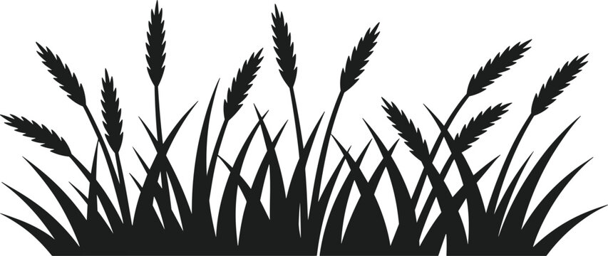 Black silhouette of grass bed with wheat stalks on white background