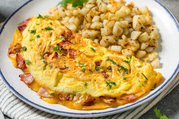 Homemade Ham and Cheese Omelette