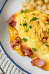 Homemade Ham and Cheese Omelette