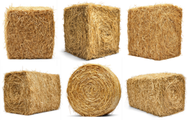 A collection of six square bales of straw, each with a unique orientation and angle.