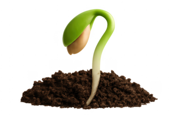 Sprout seedling growing from soil new beginning life