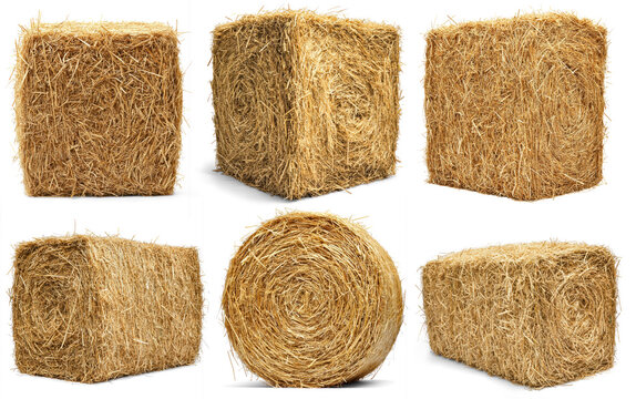 A collection of six square bales of straw, each with a unique orientation and angle.