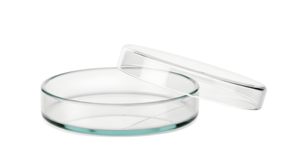 Isolated clear glass petri dish with lid on white background for science laboratory research