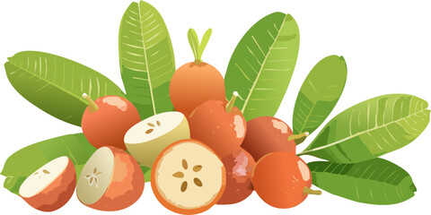 Clean, Isolated Object Vector: Perfect for Creating High-Resolution Digital Overlays, Website Backgrounds, and Minimalist Design Elements for Modern, Eco-Friendly Brands.