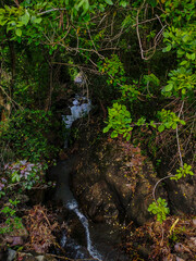 A natural spring stream flows between rocks covered in green bushes, seen from above.