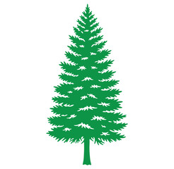 Fototapeta premium Green fir tree silhouette isolated on white background for decorative designs and illustrations