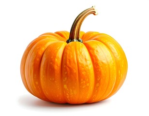 Bright orange pumpkin with textured skin and curved stem isolated on a white background