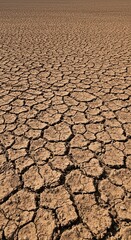 A wide, open expanse of brown earth, showcasing a dry, dusty surface with visible soil cracks. Perfect for natural backdrops or agricultural themes ,soil ,uncultivated ,environment