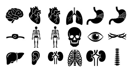 Human organs and anatomy icons set brain, heart, lungs, stomach, skeleton and other signs