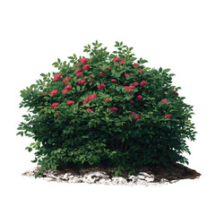 Naklejka premium A vibrant bush with red flowers and lush green foliage, showcasing natural beauty and life