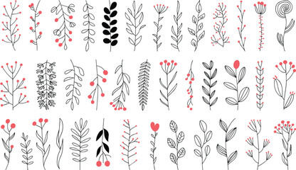 Minimal botanical line art collection with red berries and leaves, elegant floral doodles, modern decorative plant elements for design