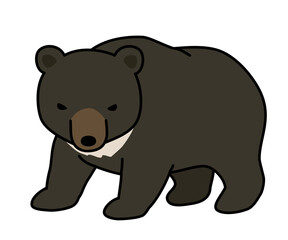 こちらを警戒しているツキノワグマ