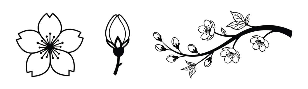 Outline icons of cherry blossom flower bud and branch for spring and garden illustrations