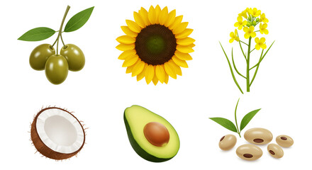 Collection of Edible Oils and Their Sources.