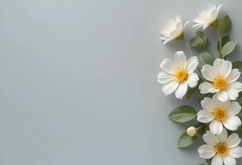 Minimal white daisy flowers flat lay with copy space. ideal for wedding invites, wellness blogs, mothers day or feminine branding.