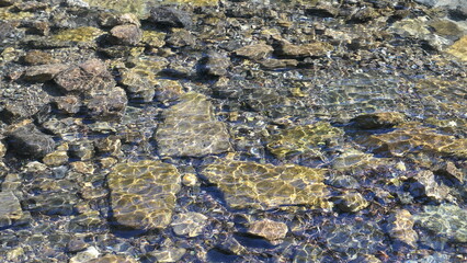 Stream Flow at Solhyang Arboretum, Gangneung