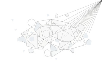 Abstract Geometric Network Connection Lines on White Background.