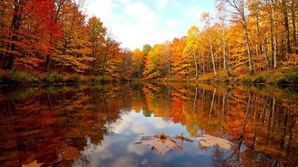 Dynamic reflections of fluffy clouds drifting across a pond, with subtle movements on the water's surface, enhancing the illusion of depth. Eye level shot, sky focus - Powered by Adobe