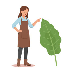 Woman in Apron Examining a Large Green Leaf.